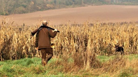 Quels sont les rôles de la fédération de chasse du 62 ?