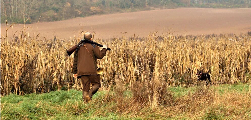 Quels sont les rôles de la fédération de chasse du 62 ?